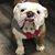 Dahloris L Prichard's profile image