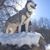 Fox David's profile image