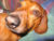 Sheila B.'s profile image