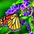 Sandra Roberson's profile image