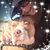 Shelly Medina's profile image