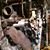 Jawa Huss's profile image