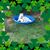 Dottie Shea's profile image
