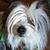 Lynn Morrow's profile image