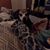 Michelle Miller's profile image