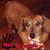 Doug Bond Sr.'s profile image