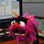 Bobby Jo's profile image