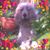 Yvonne Mann's profile image