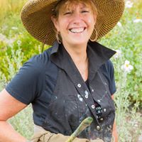 Claudia Jennings Lima's profile image