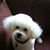 Peggy Soprano Halter's profile image