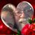 Terri Aldrich's profile image