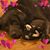 Jean Ragland's profile image