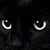 Donna Richards's profile image