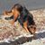 Patti Ruocco's profile image
