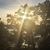 Merri Smethurst Altieri's profile image