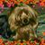 Carolyn Ann Johnston Winsted's profile image