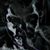 Chris Stafford's profile image
