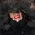 Mandy McKay's profile image