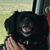 Roxane Visser's profile image