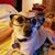 Lorraine Rinker's profile image