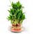 Shiva Prasad's profile image