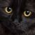 Jill Bernhardt-Aguilar's profile image