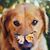 Faye Stevenson Henson's profile image