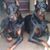 Diane Paladi Carollo's profile image
