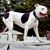 Susan Bond-Brown's profile image