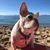 Betsy Hertel's profile image