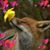 Peggy Fox's profile image