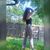 Concepcion H Antherina's profile image