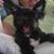 Deborah Devowe's profile image