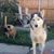 Joe Griego's profile image