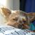 Rita Sweeney's profile image