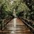 Mariam Meskheli's profile image