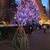 Cindy Higginson Moschner's profile image