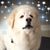 David Callender's profile image
