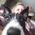 Debbie Dophal Ream's profile image