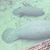 Caren Sutton's profile image