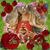 Ana Julia Serpas's profile image