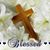 Denise Hester's profile image