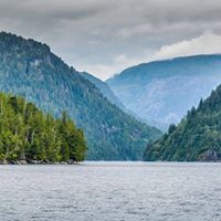 Stacy Guinn Milliner's profile image