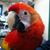 Curt Wind's profile image