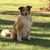 Jessica Marcus Kruczek's profile image