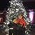Traesha McCool's profile image