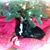 Betty Slagle-Shephard's profile image