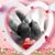 Laura Winegardner's profile image