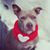 Vicki Johanson Lonergan's profile image