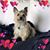 Debbie Heckert's profile image